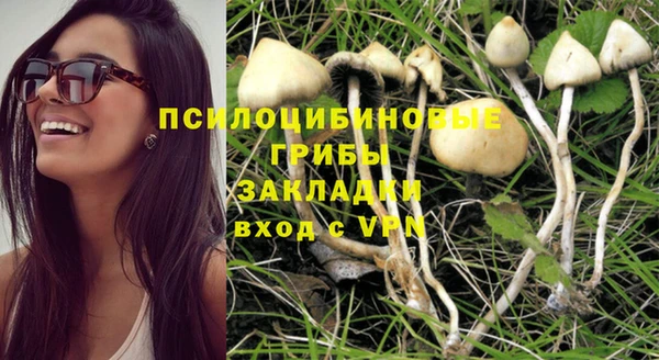 МДМА Заволжск