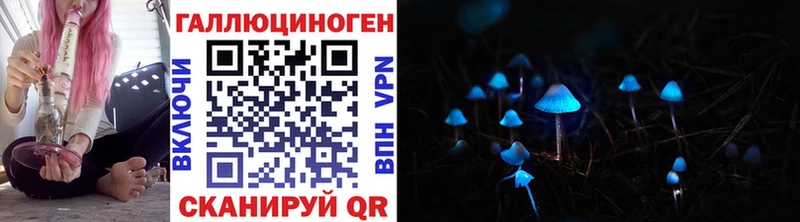 Купить Называевск Псилоцибиновые грибы мицелий